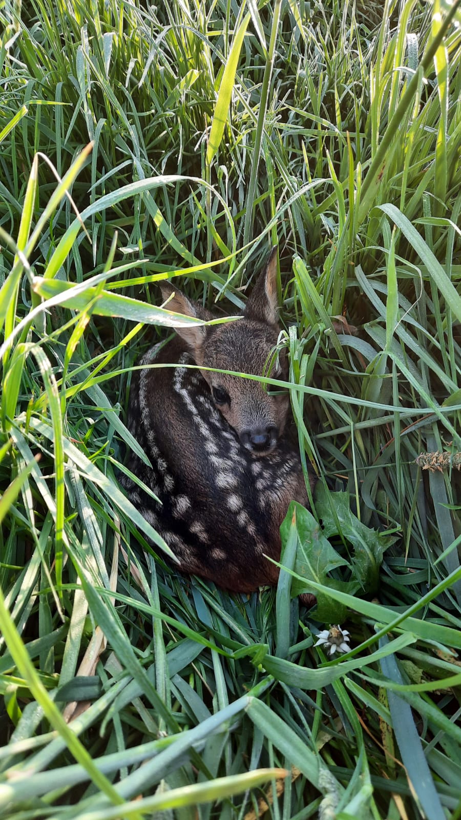 Der frühe Vogel fängt…